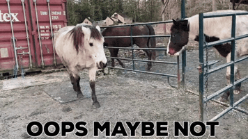 No Way GIF