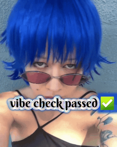 Vibe Check GIF