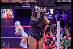Wrestling React GIF