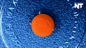 dissolve time lapse GIF by NowThis 