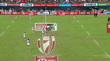 GIF by World Rugby