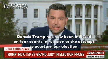 Donald Trump Msnbc GIF by GIPHY News