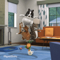 Cat Leaning GIF by Treehouse Direct