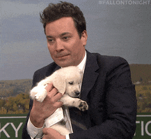 jimmy fallon awww GIF by The Tonight Show Starring Jimmy Fallon