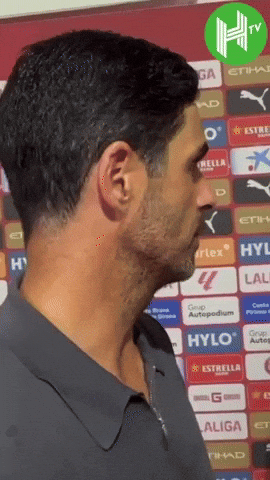 Arsenal GIF by memes