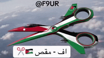 سوريا GIF
