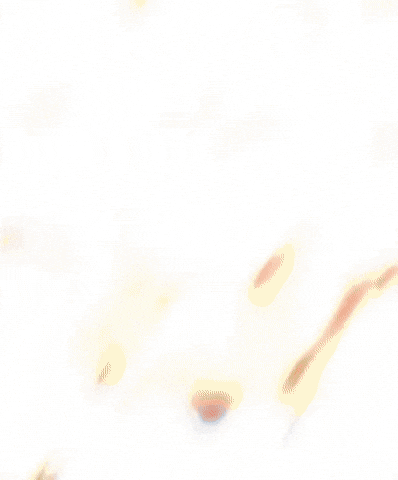 First We Feast One Piece GIF