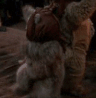 Ewok GIFs - Get the best GIF on GIPHY