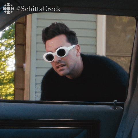 Schitt's Creek gif. Dan Levy as David shakes his head and leans into an open car window, shaking his head in confusion and asking "why?"