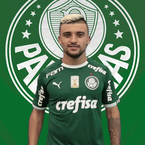 victor luis soccer GIF by SE Palmeiras