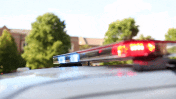 police sirens GIF by Roanoke College