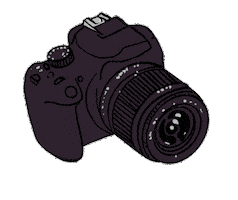 Photography Camera Sticker by Lara Paulussen