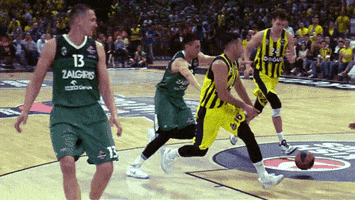 final four dunk GIF by EuroLeague