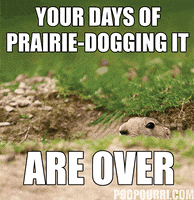 prairie dog GIF by Poo~Pourri