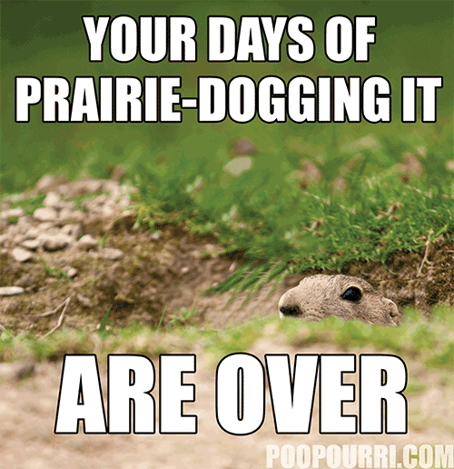 prairie dog GIF by Poo~Pourri