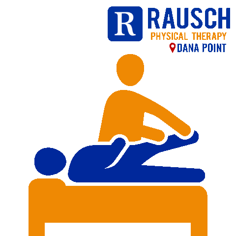 Rausch Physical Therapy - Dana Point Sticker