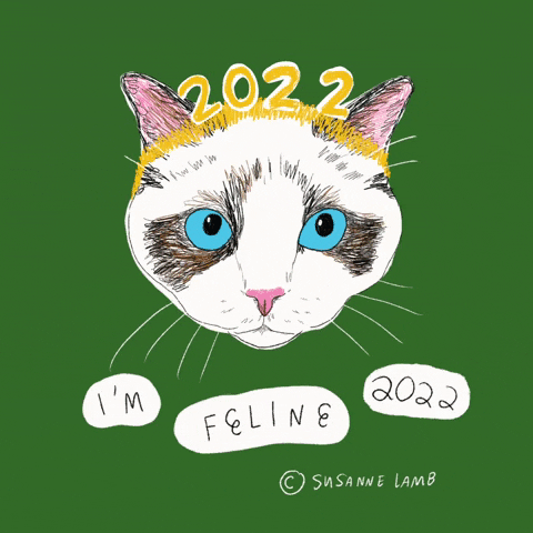 New Year Cat GIF by Susanne Lamb