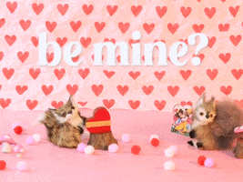 Valentines Day Love GIF by Stephanie