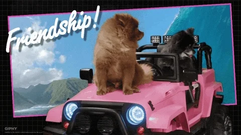 Dog Friendship GIF