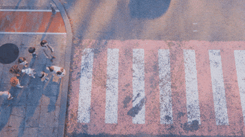 Bog GIF by Bank Of Georgia