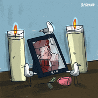 200.gif?cid=fc005b08f3bdfaeba25e177df11e769b6622c7c94b8a9ce9&rid=200.gif&ct=g