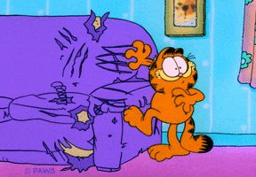 Cat Hello GIF by Garfield