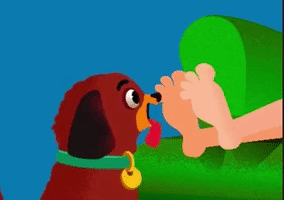 Dog Lick Feet GIF