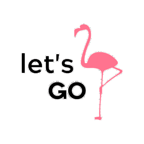 FlaminGO Experiences Sticker