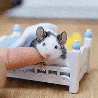 Mouse Cute Sticker - Mouse cute balloon - Discover & Share GIFs