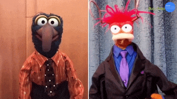 The Muppets Merry Crisis GIF by BuzzFeed