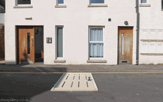 Meta Tumblr Featured GIF by sheepfilms