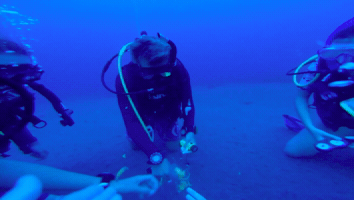 Scuba GIF