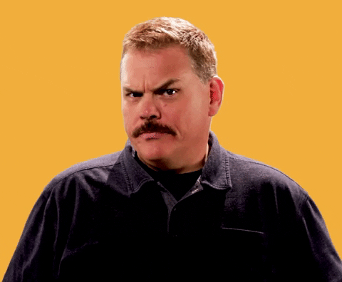 Giphy - Are You Sure Super Troopers GIF by Searchlight Pictures