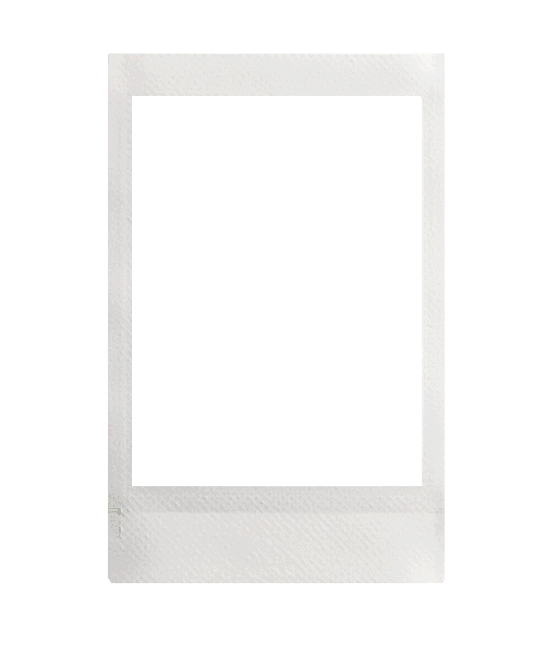 Film Photography Sticker by FCINQ