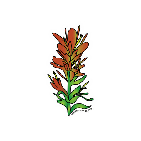 Indian Paintbrush Flower Sticker by Visit Laramie