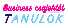 BusinessCsajok Sticker