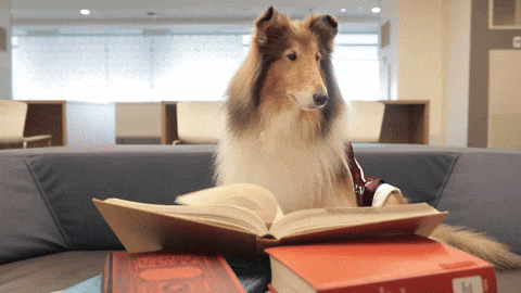 What the best college major?