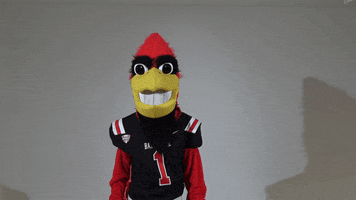 Oh No What GIF by Ball State University