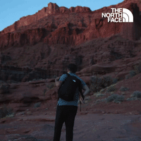  Have You Ever - The North Face