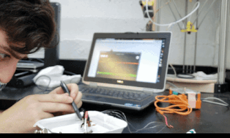 Mantis Shrimp Bybfellows2018 GIF