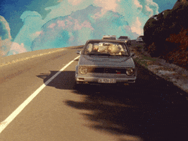driving brother leo GIF