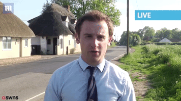 Journalist GIF