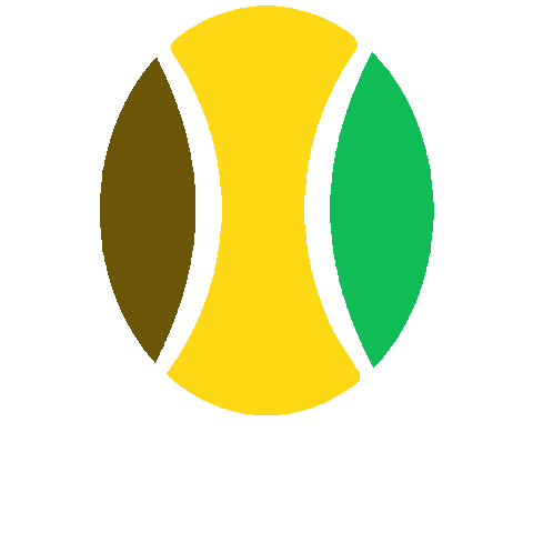 Wheelchair Tennis Sticker by CPSport