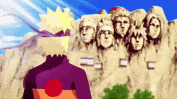 One Piece Animes GIF