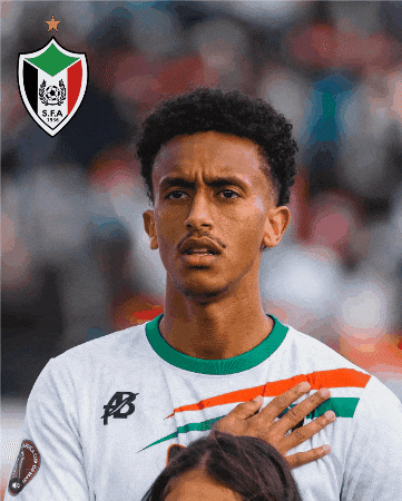 Memo Sudan GIF