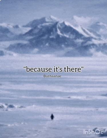 Penguin Cornball GIF