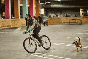 Dog Halloween GIF by wade.photo