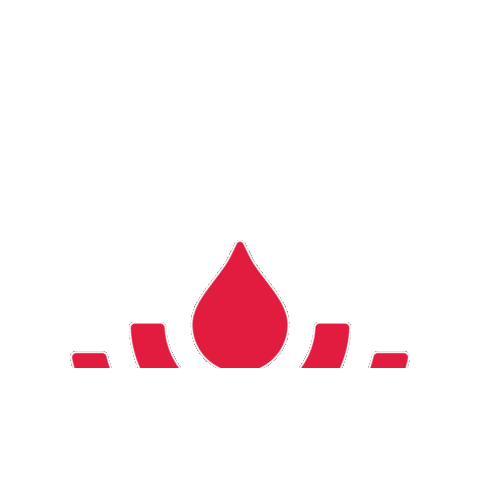 WinShape College Program Sticker