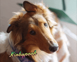 Kirbyrc GIF