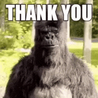 Video gif. A person in a gorilla suit shoots two thumbs up at us, points, and then punches the air. Superimposed on their hands are purple icons with the word "go." Text, "Thank you."